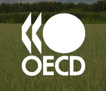 OECD raport për politikat tregtare, Shqipëria e dyta në rajon