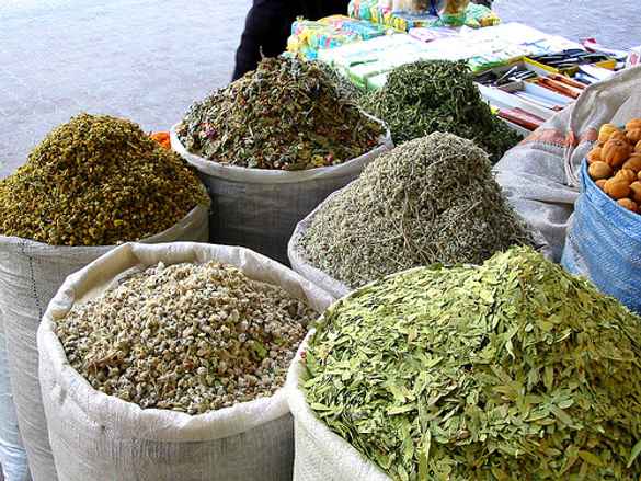 Shqipëria eksportoi 7200 tonë bimë medicinale 